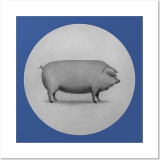 Perfect Pig circle Posters and Art